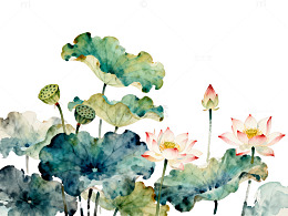 水墨荷花中国画风格绘画作品