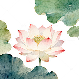 水墨荷花淡雅插画设计素材