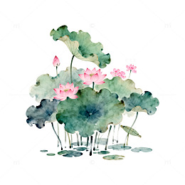 水墨荷花图