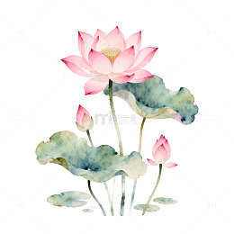 水彩荷花装饰画
