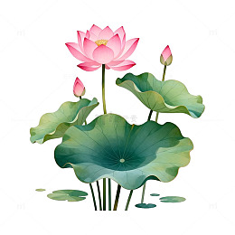 荷花卡通插画设计素材