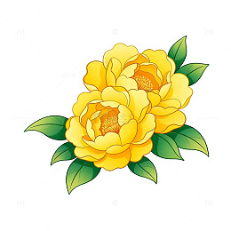 卡通黄牡丹插画素材