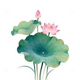 水墨荷花插画设计素材