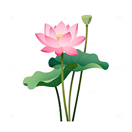 淡雅荷花矢量插画素材