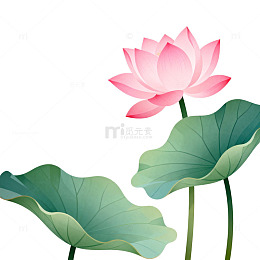 荷花插画淡雅清新矢量素材