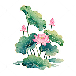 中国风荷花矢量插画设计素材