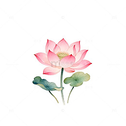 水彩荷花淡雅插画设计素材