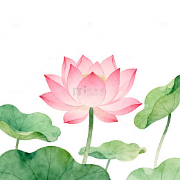 水彩荷花清新插画设计元素