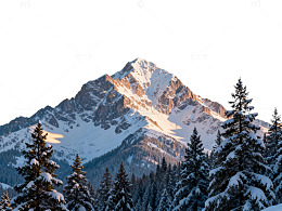 雪山风光冬季森林
