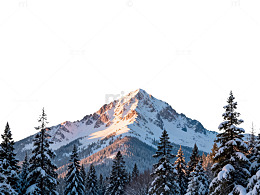 雪山风光冬季森林雪景图片