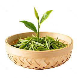 竹篮茶叶嫩芽特写