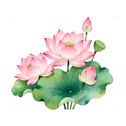 水墨荷花艺术插画设计元素