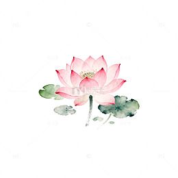 水彩荷花艺术插画