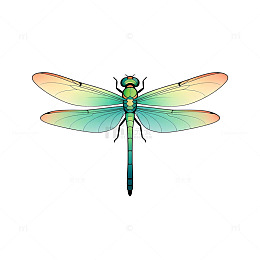 蜻蜓插画简约图案