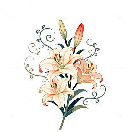 百合花艺术插画装饰图案