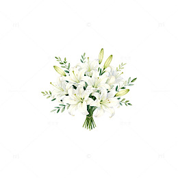 百合花束插画设计素材