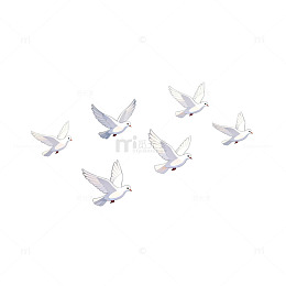 简约白鸽飞翔插画