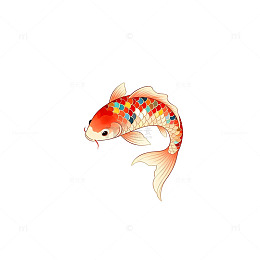 锦鲤插画设计素材