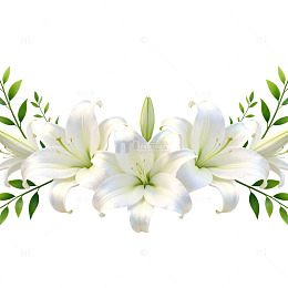 百合花绿叶装饰图案