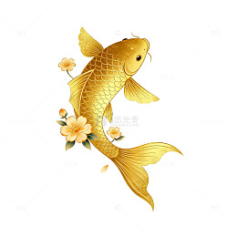 金色锦鲤与花卉插画