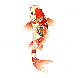 传统锦鲤插画素材