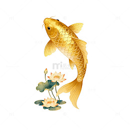 金鱼跃莲中国风插画