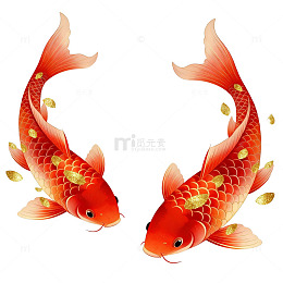 传统中国风锦鲤插画设计