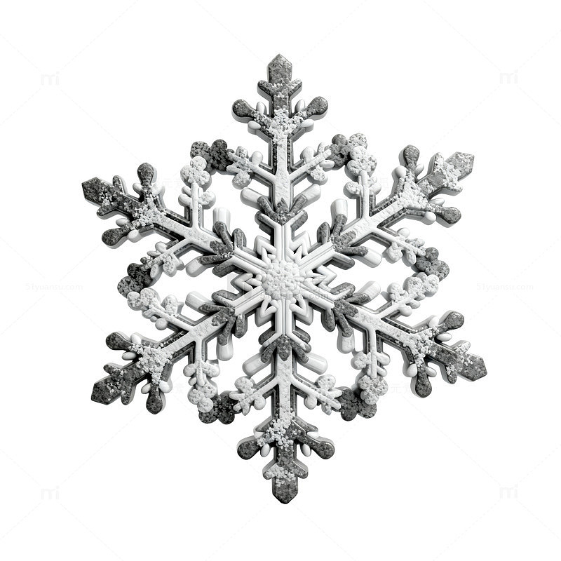 精致雪花特写