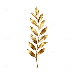 金色植物插画设计素材