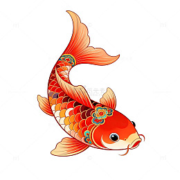 传统风格锦鲤插画设计元素