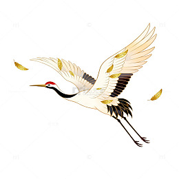 仙鹤飞舞古风插画