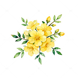 水彩黄花花卉插画设计素材