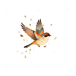 彩翼飞鸟飞舞插画素材