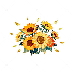 插画风格向日葵花卉设计素材