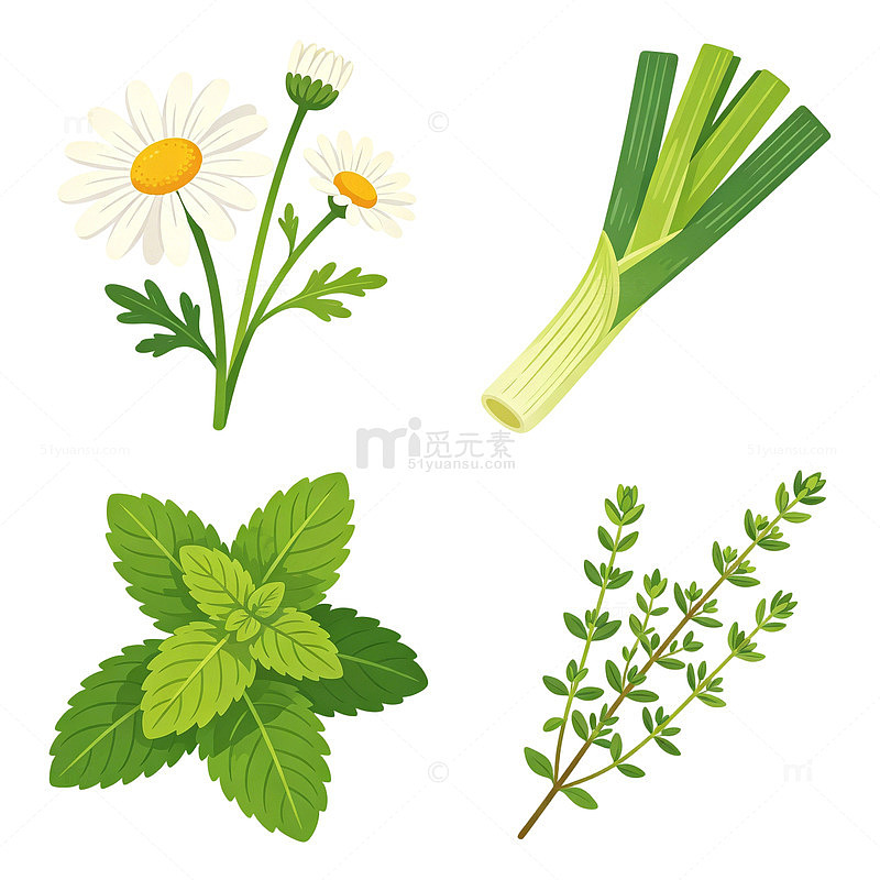 草本植物卡通扁平风格元素集合
