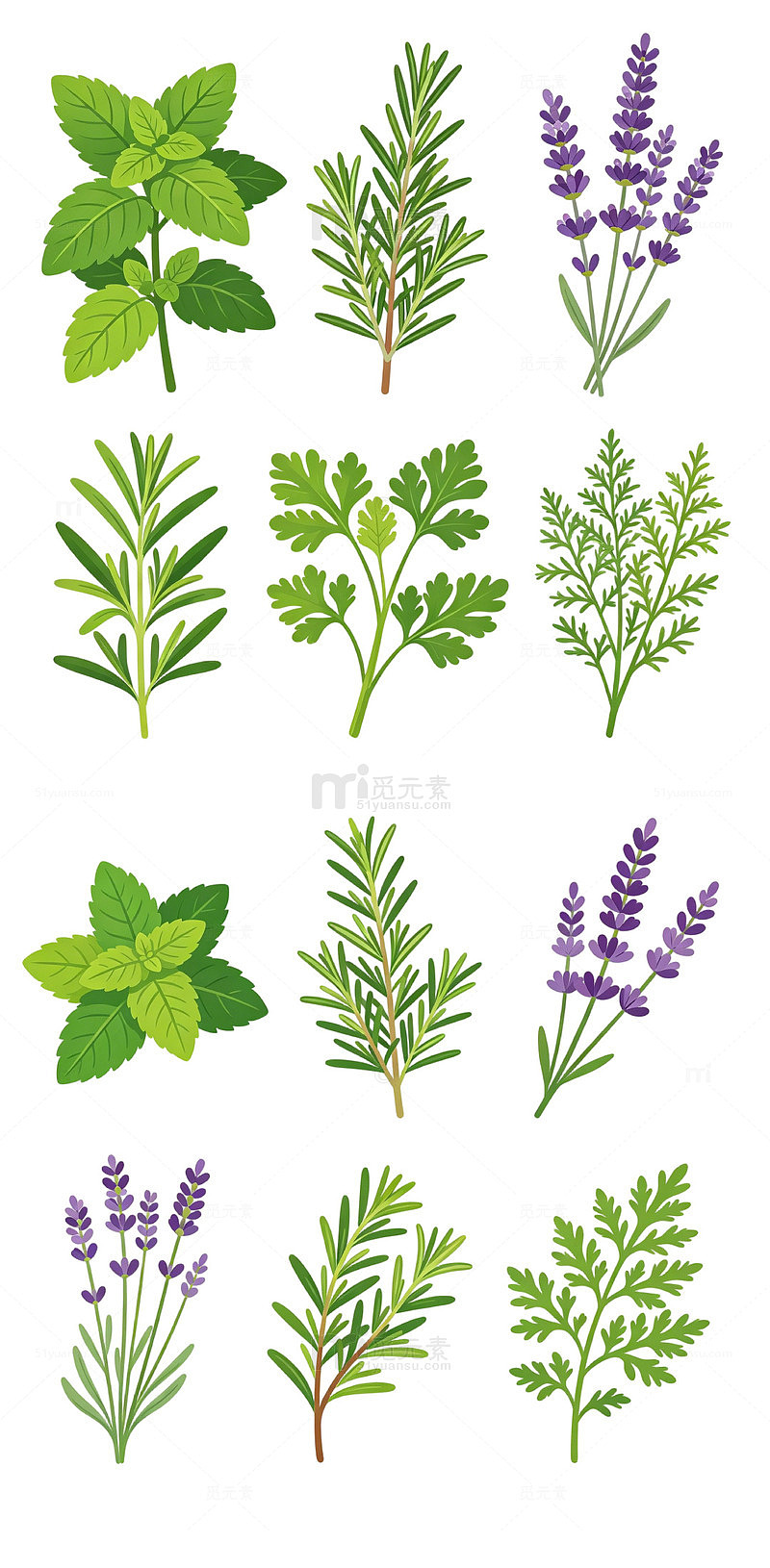 草本植物卡通扁平元素