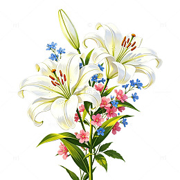 花百合花束混合母亲节元素