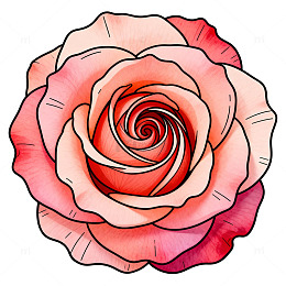 水彩玫瑰花卉插画设计素材