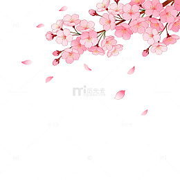 樱花飘落春日插画素材