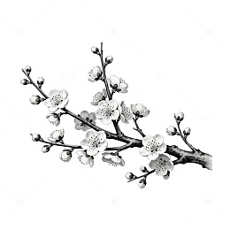 水墨梅花装饰画设计元素