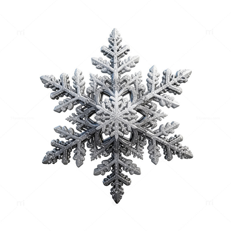 精致雪花特写