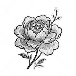 黑白线条花卉素描装饰画