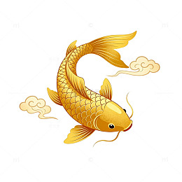 金色锦鲤插画设计元素