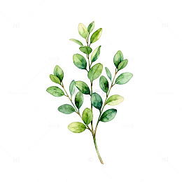 水彩绿植装饰图案设计元素