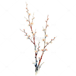 水墨梅花枝艺术插画