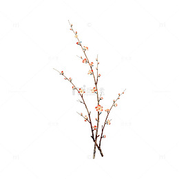 梅花枝条装饰插画