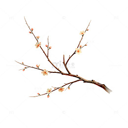 梅花枝条水墨画设计素材