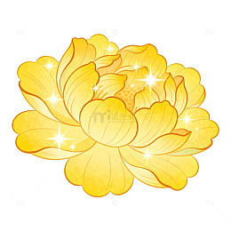 金光闪闪菊花插画素材