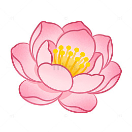 粉色荷花卡通插画设计素材
