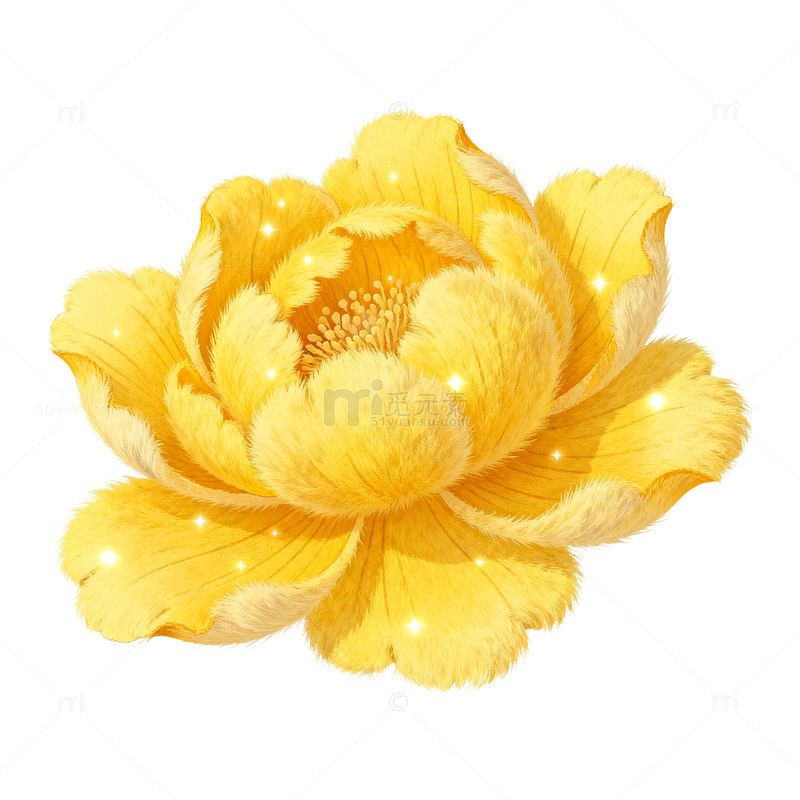 金光牡丹插画装饰元素